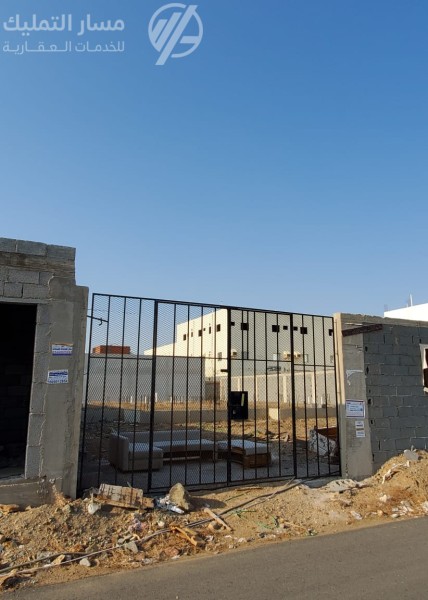 Photo by Daniel J. Schwarz